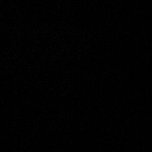 Meet your Posher, George